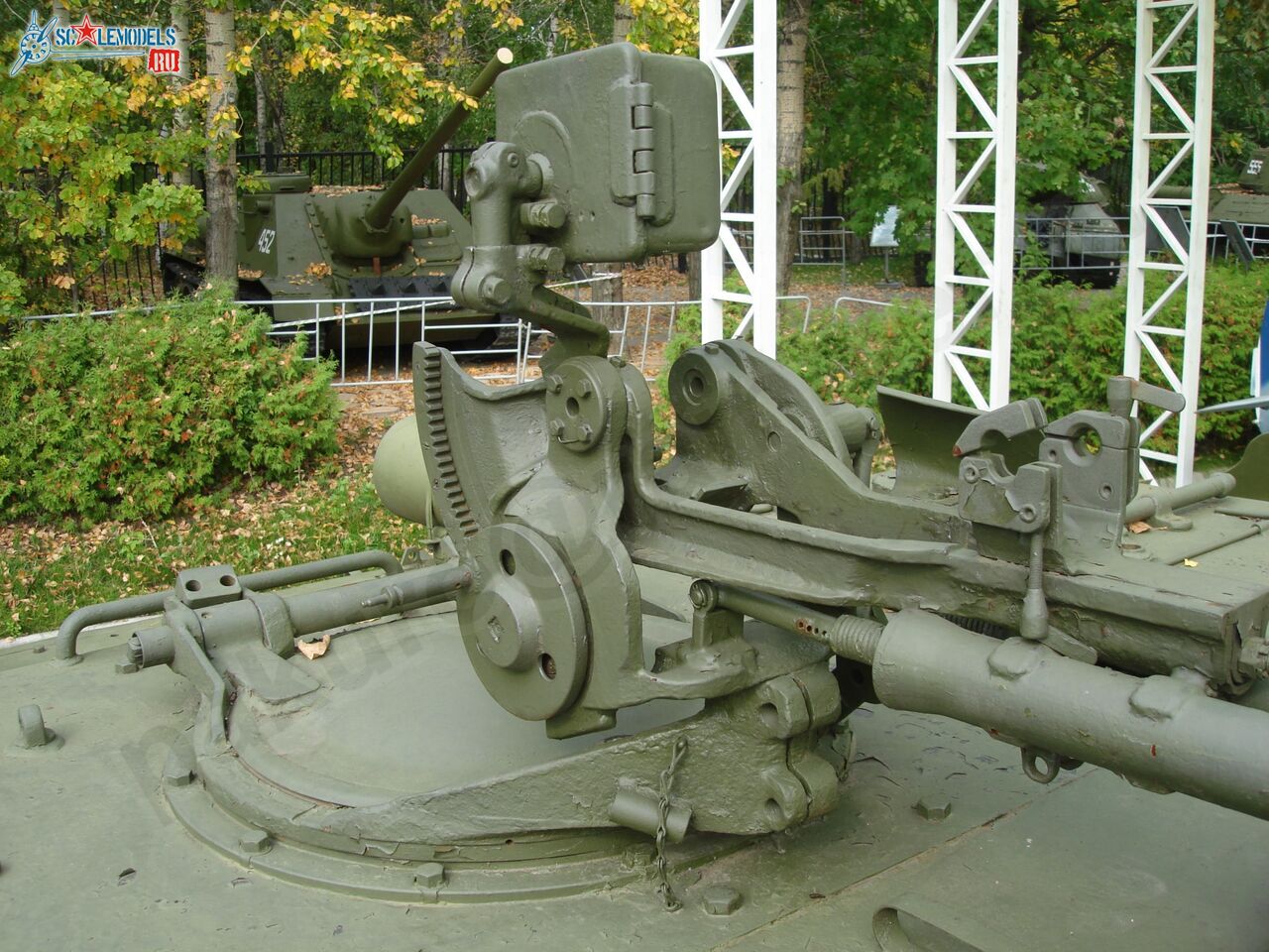 87.jpg
