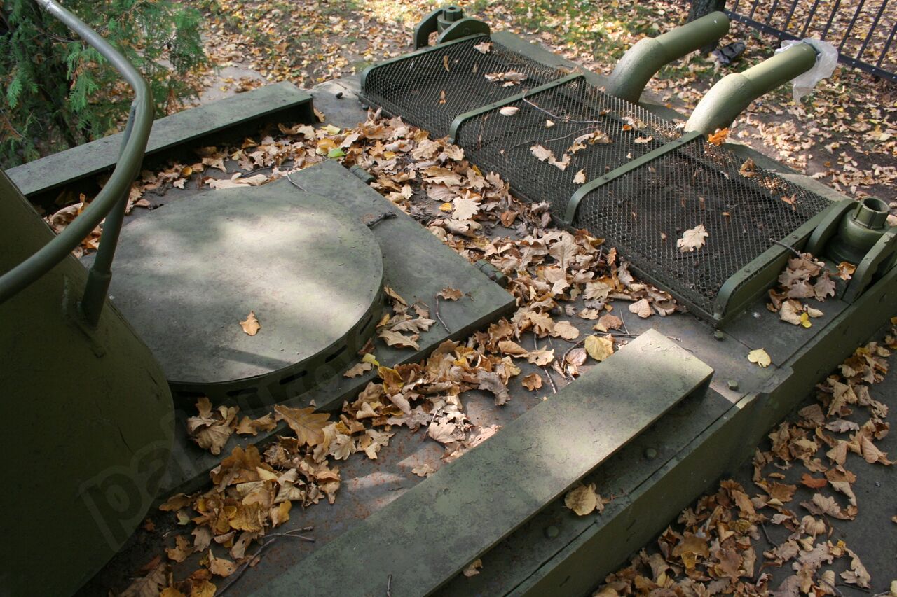 87.jpg
