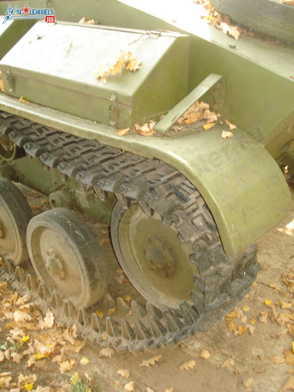 29.jpg