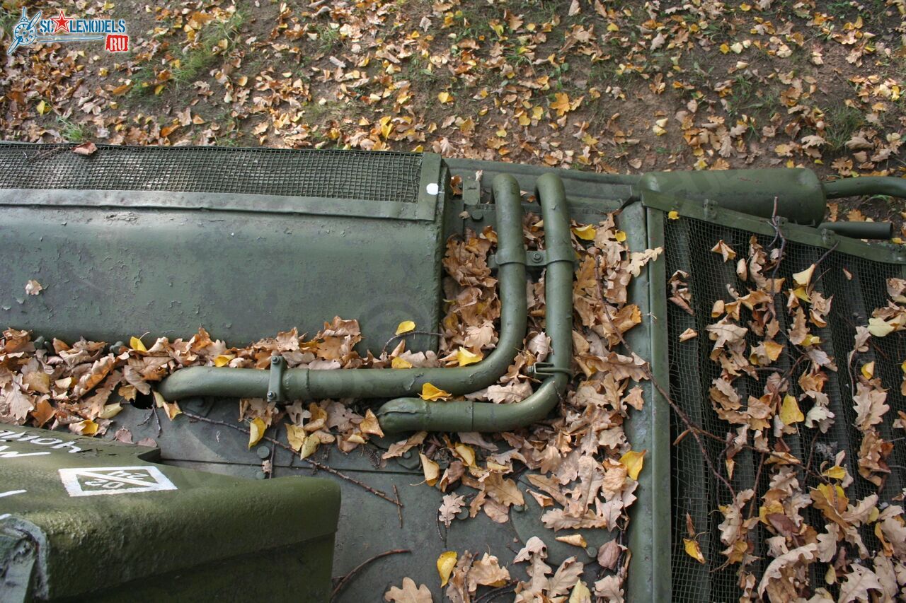 93.jpg