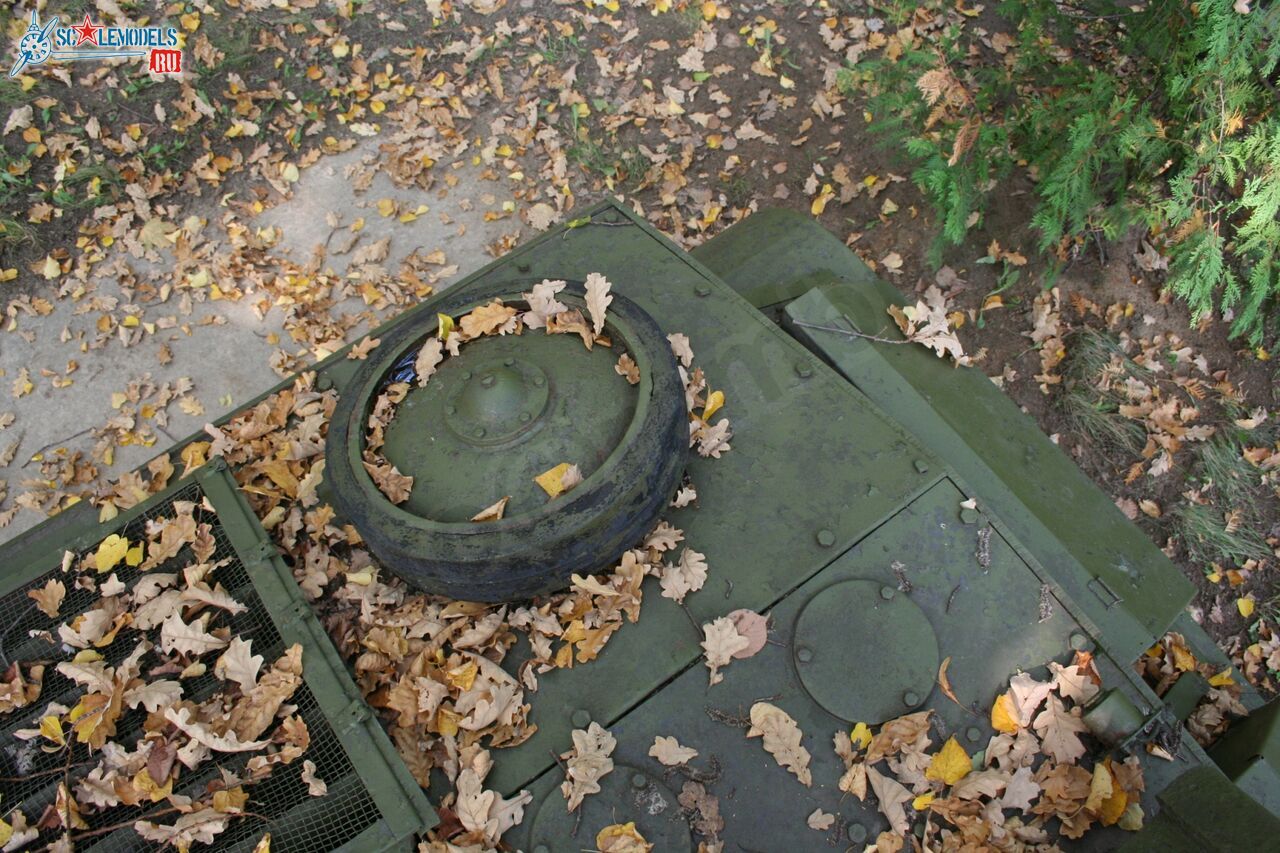 95.jpg