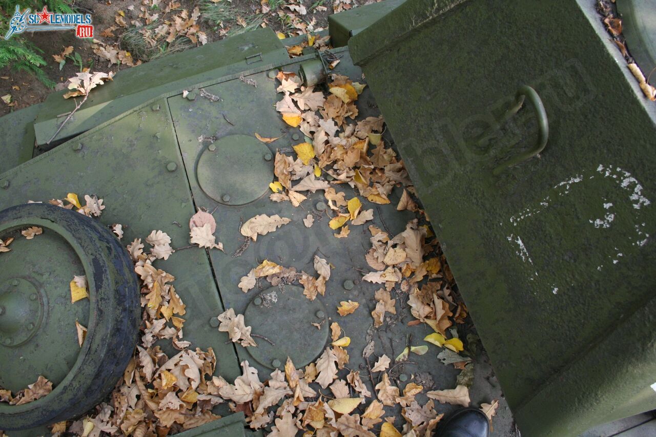 96.jpg