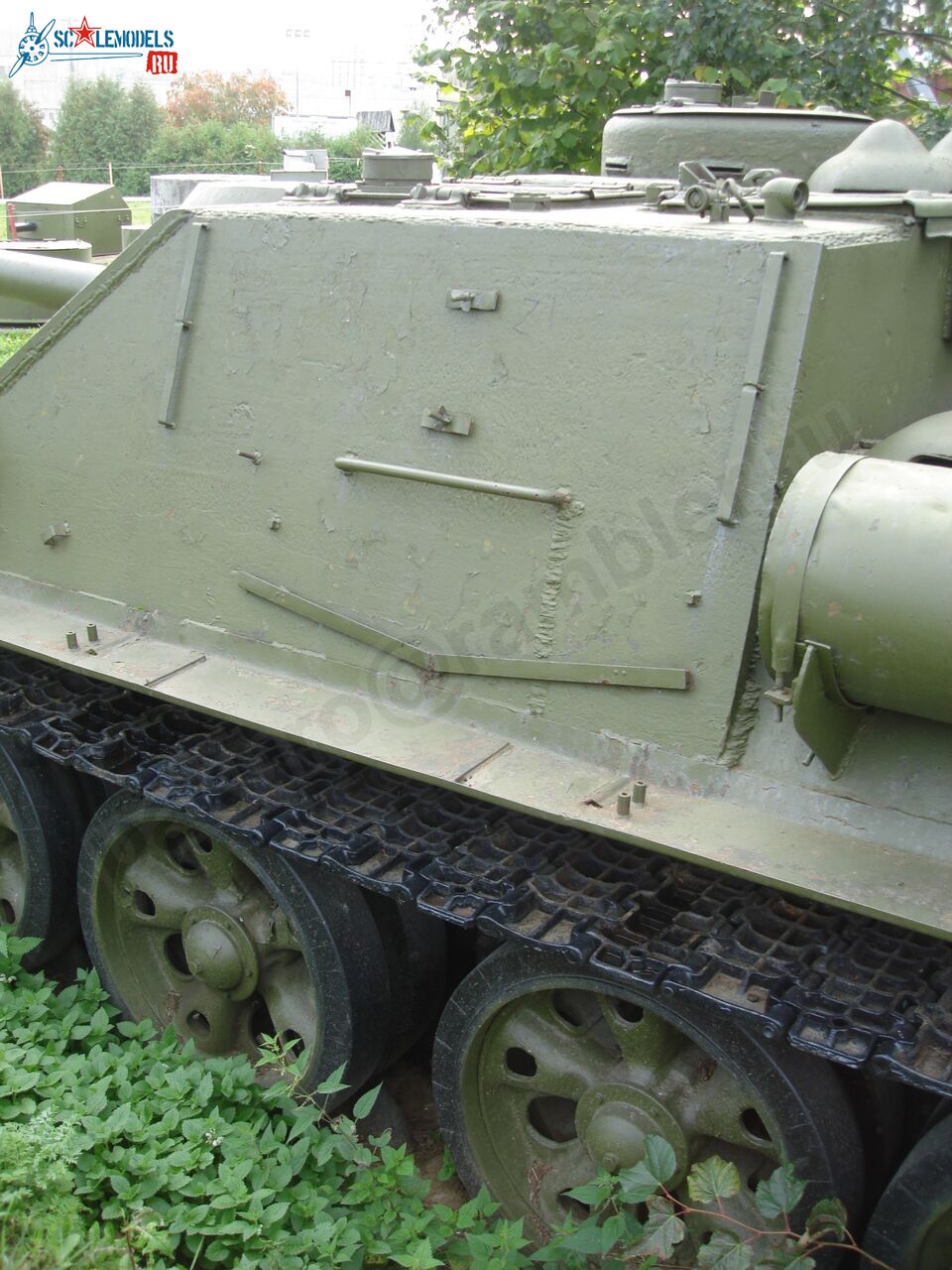 36.jpg