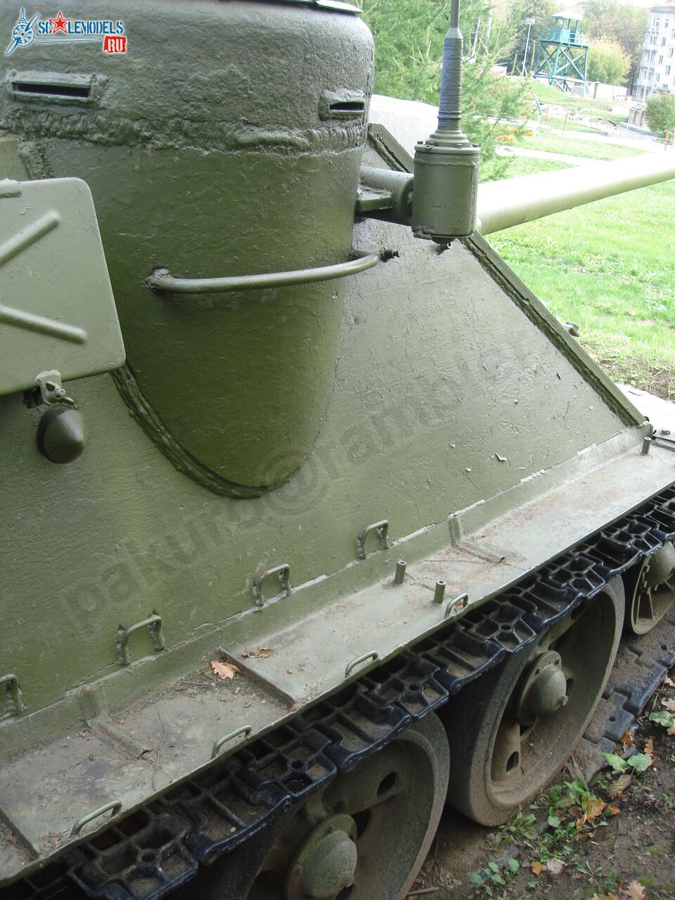 71.jpg