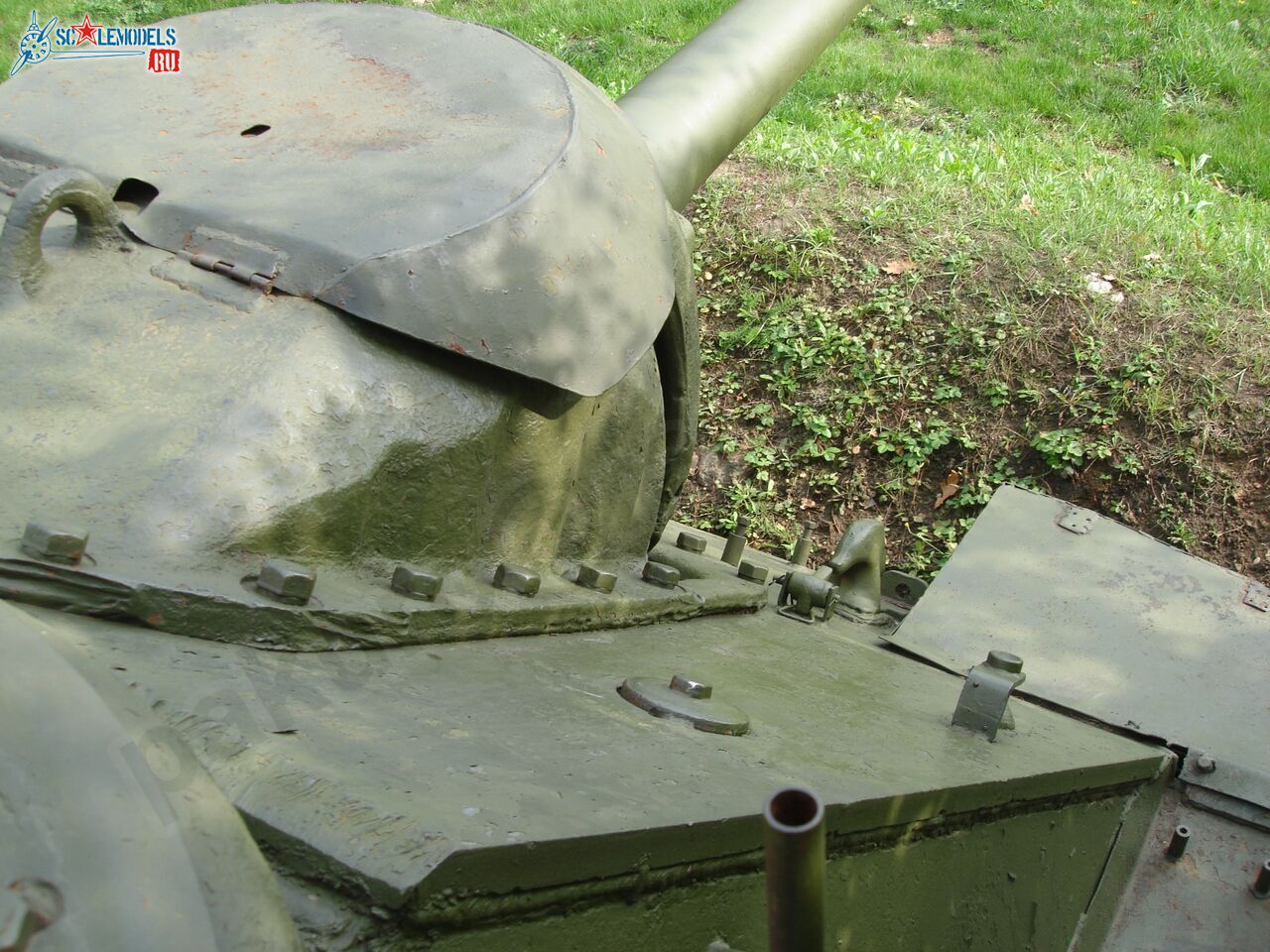 87.jpg