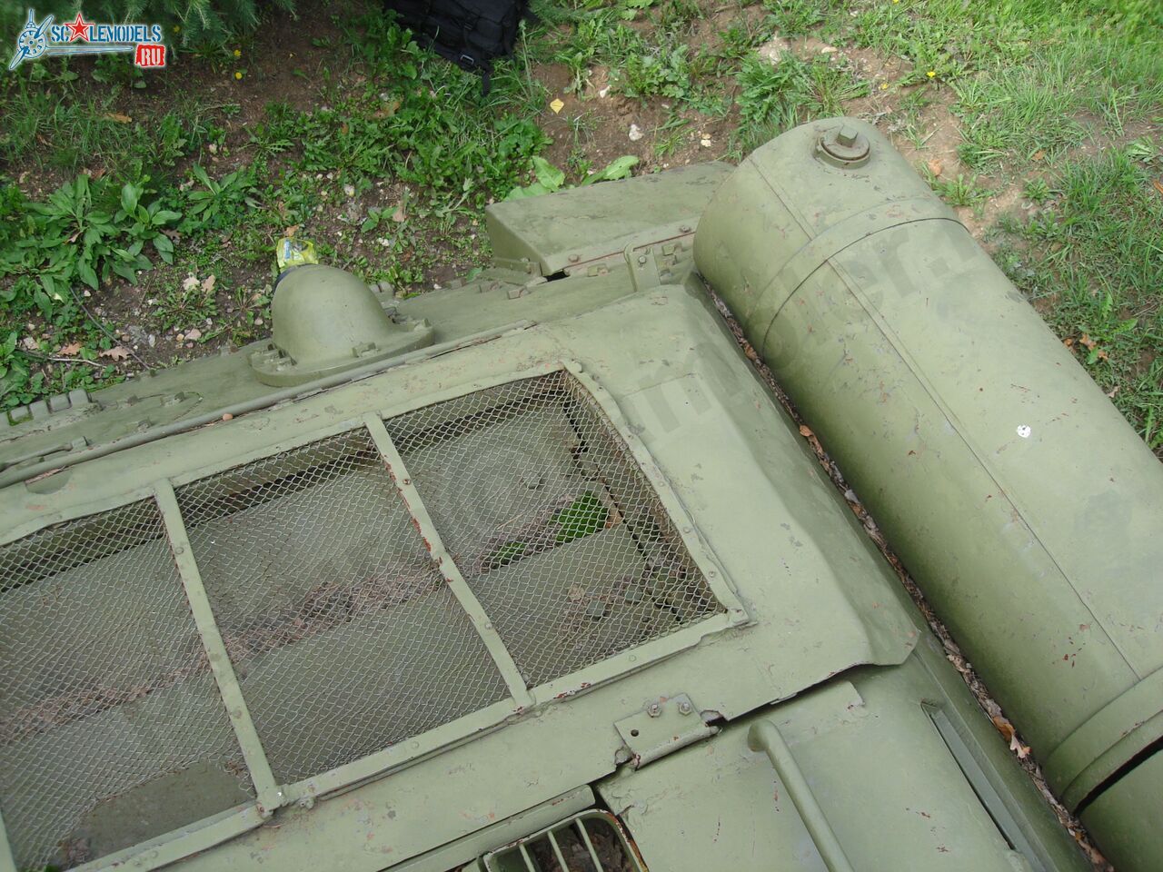 96.jpg