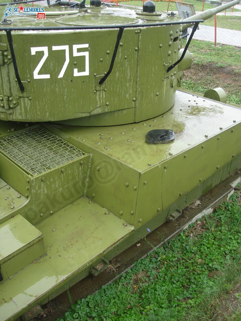 53.jpg