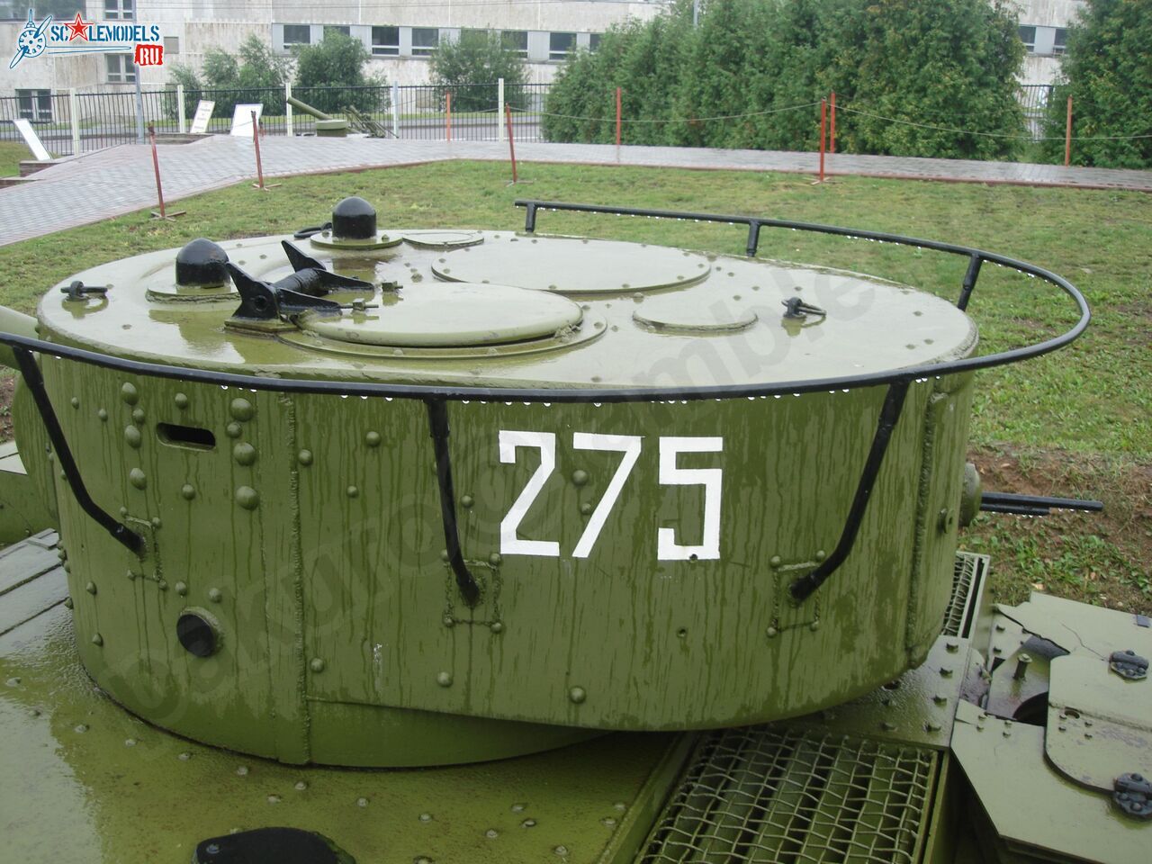 73.jpg