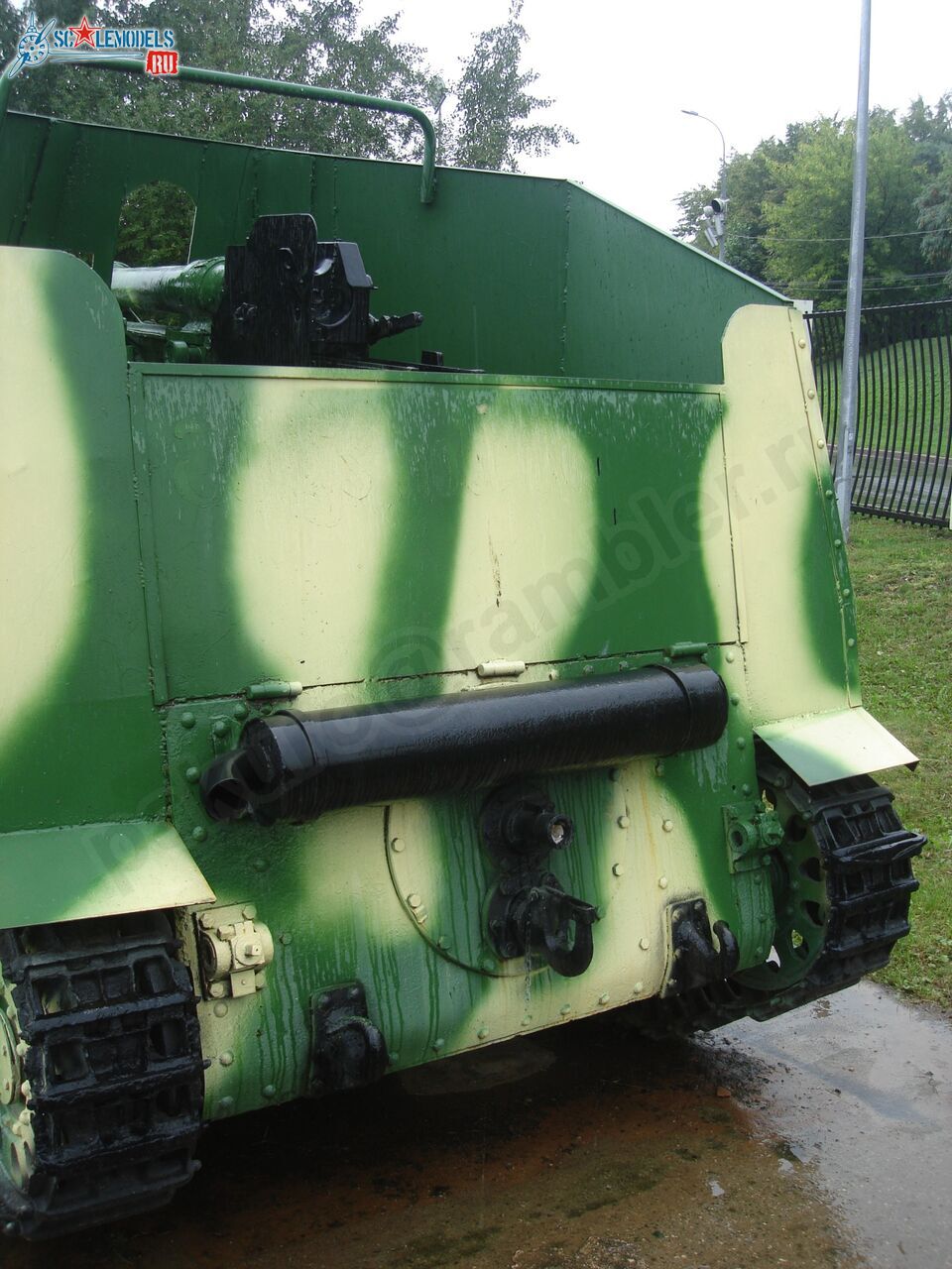 49.jpg