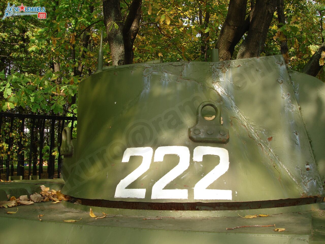 71.jpg