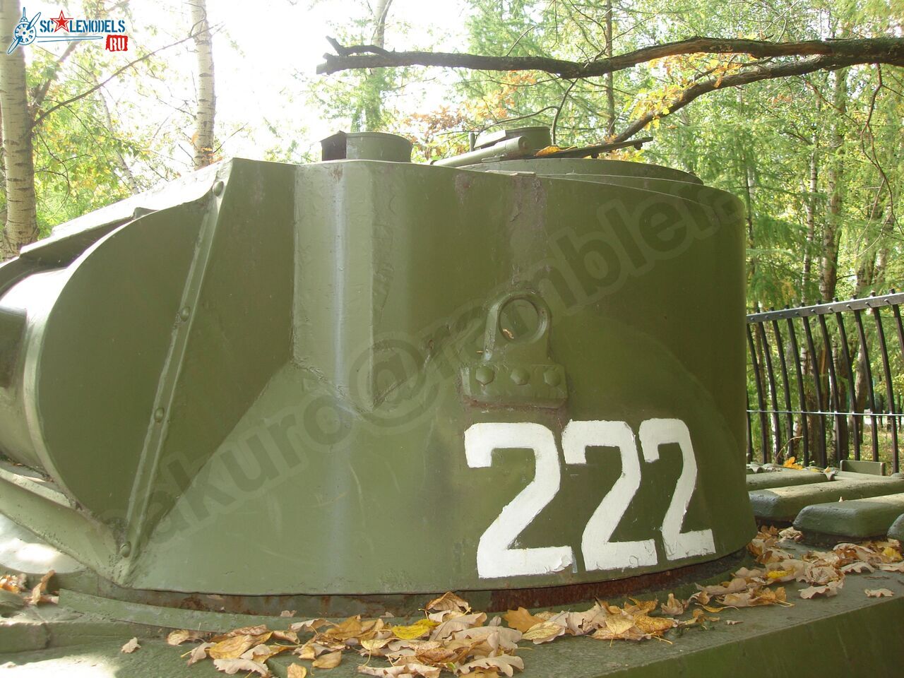 77.jpg