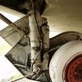 MiG-17_28.jpg