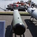 IMDS-210530.jpg