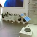 IMDS-2105359.jpg