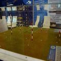 IMDS-2105366.jpg