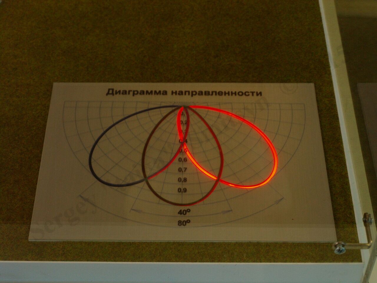 IMDS-2105369.jpg