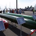 IMDS-210537.jpg