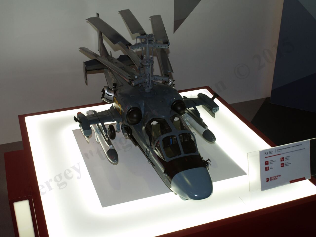IMDS-2105438.jpg