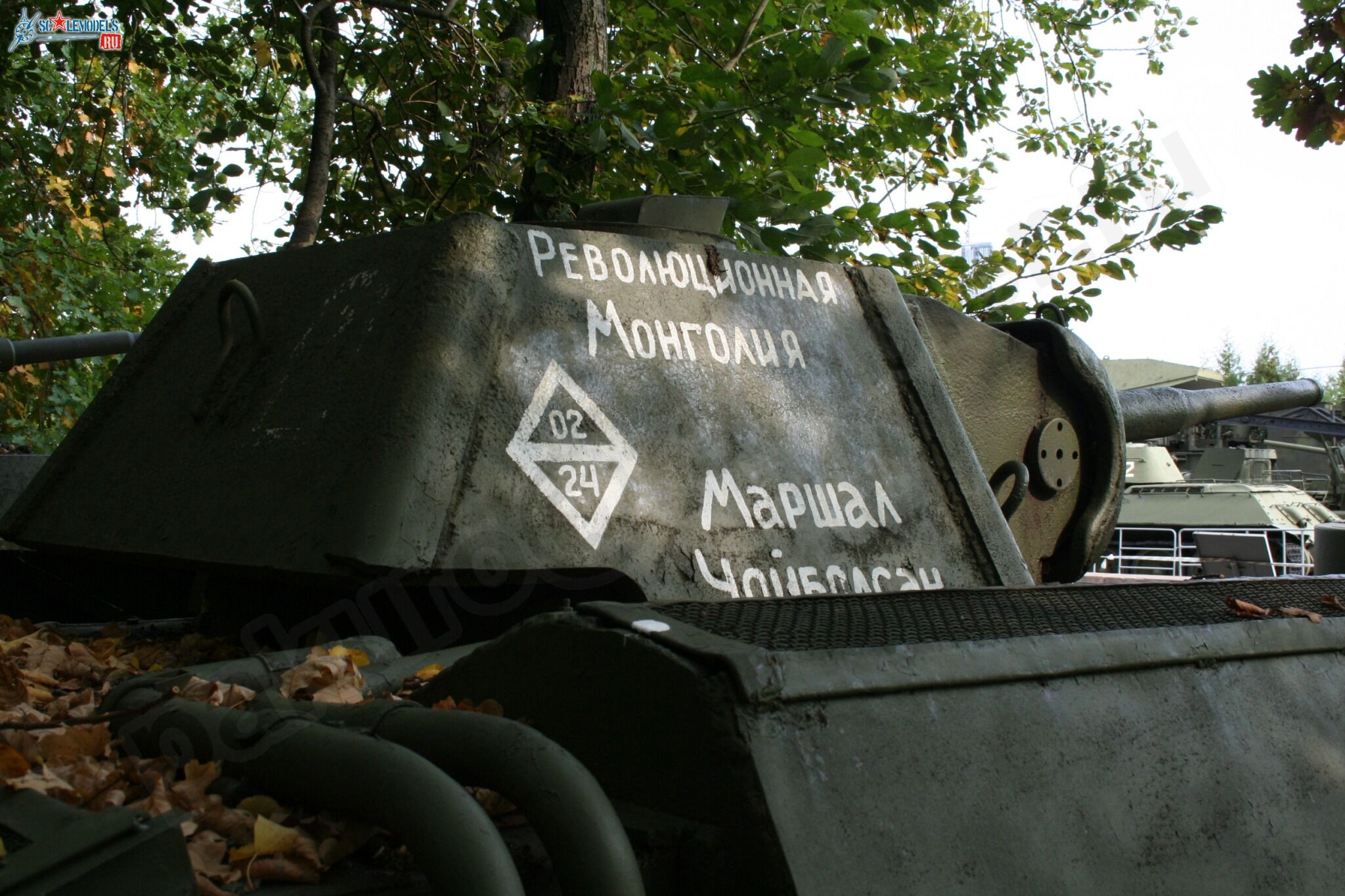 85.jpg
