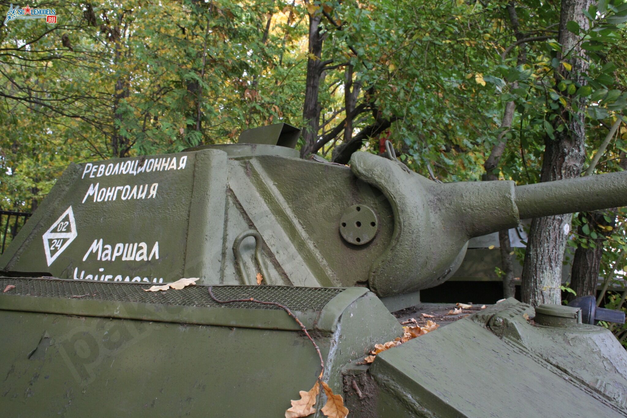 87.jpg