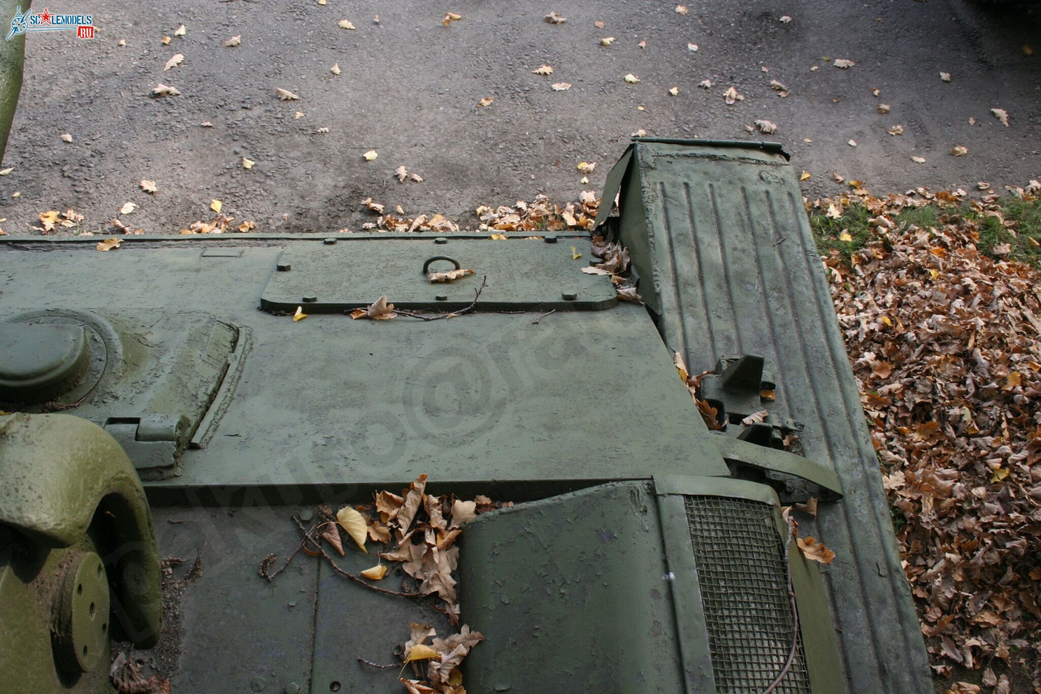 89.jpg