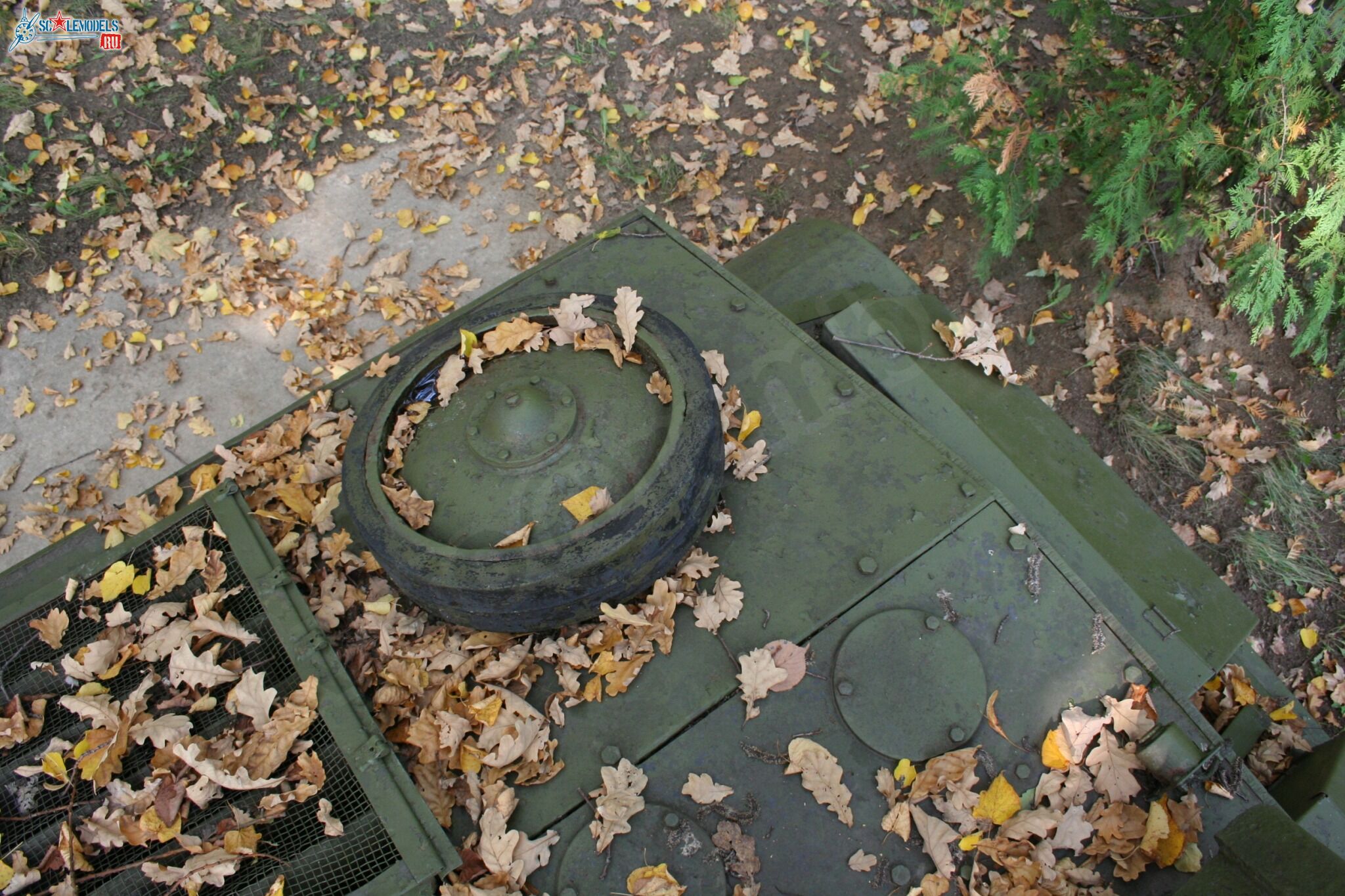 95.jpg