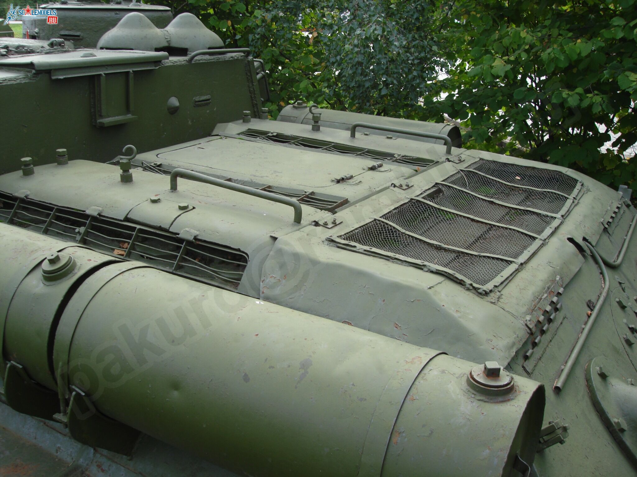 46.jpg