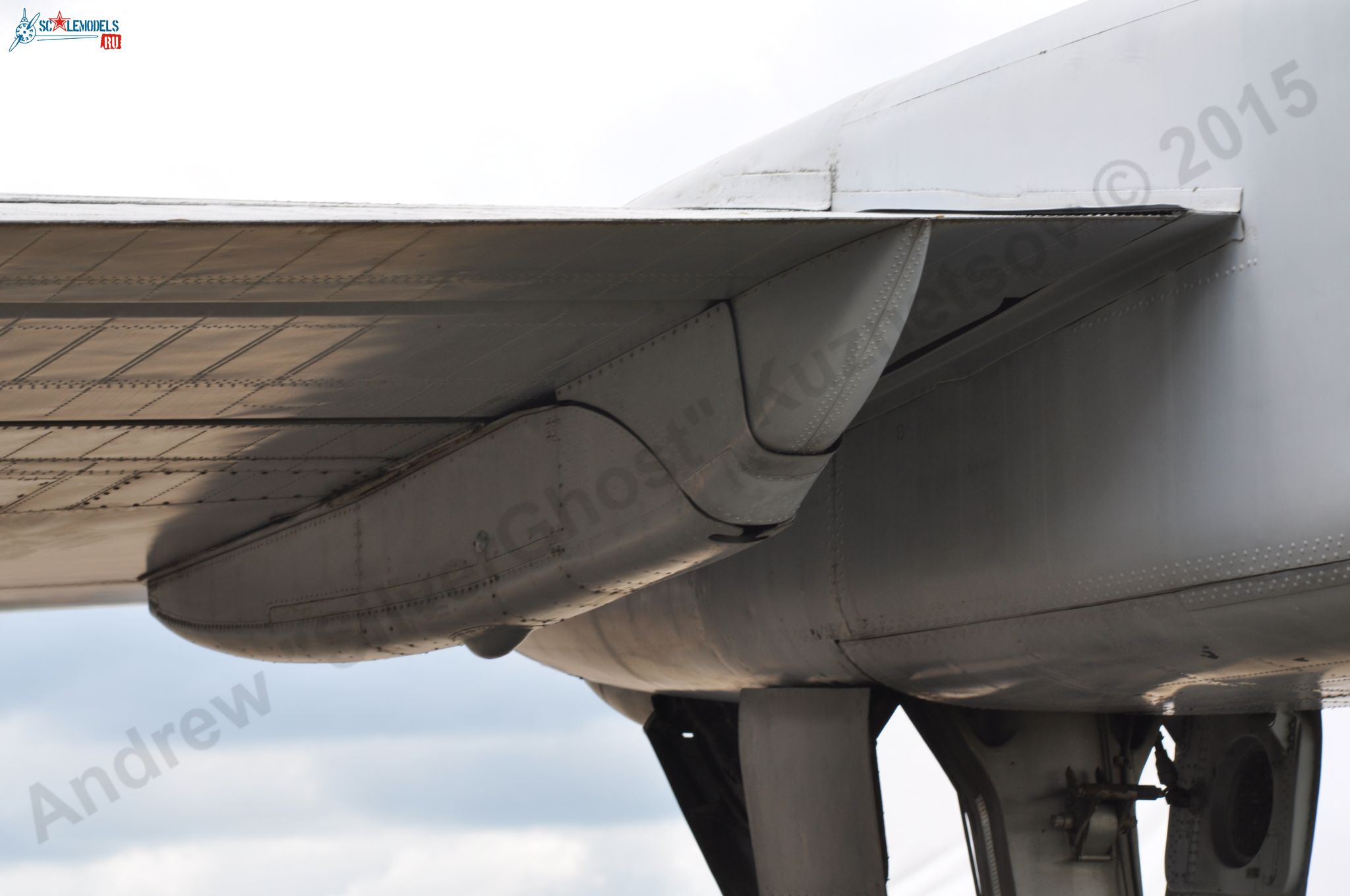 Tu-155_196.jpg