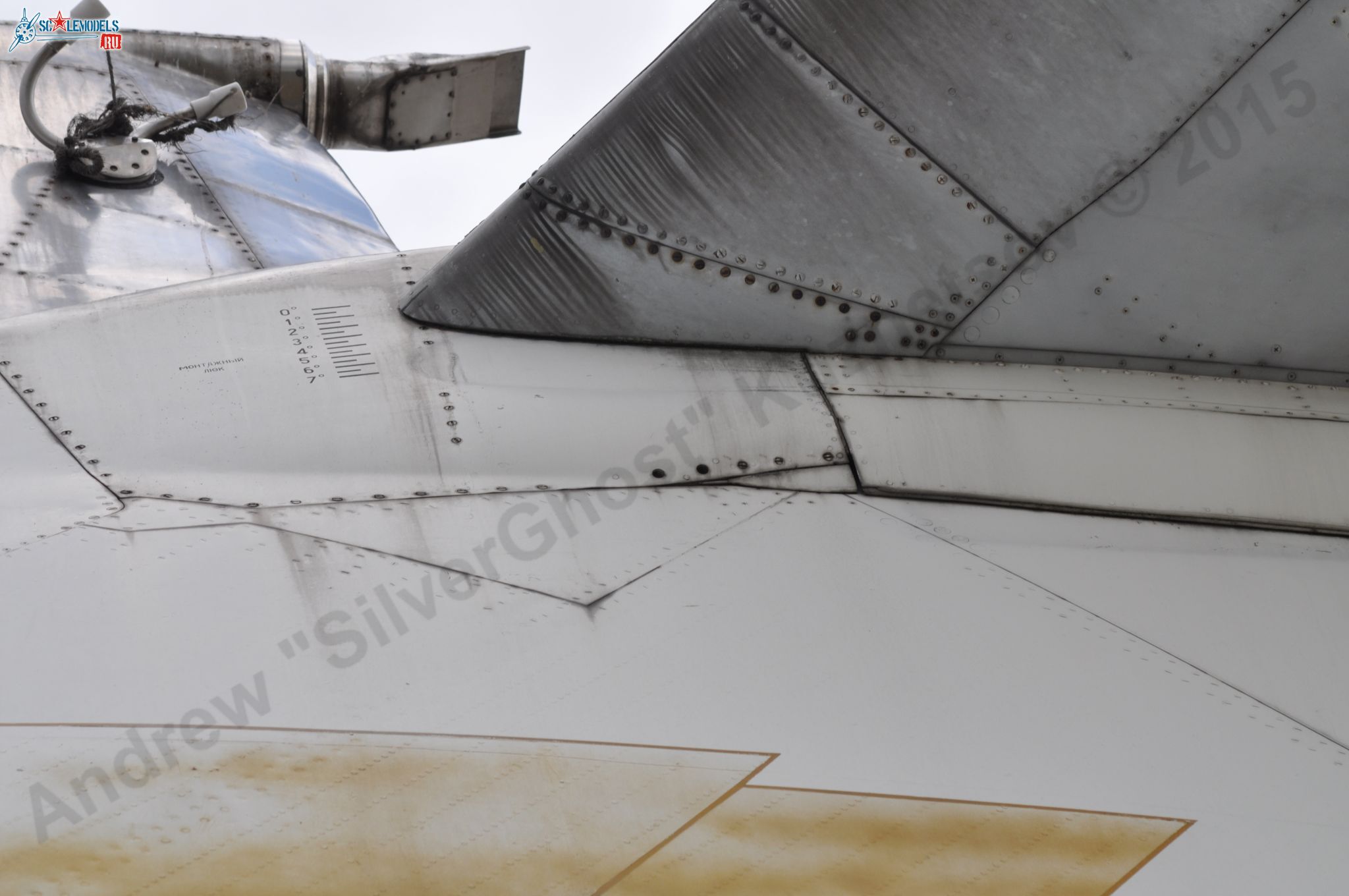 Tu-155_203.jpg
