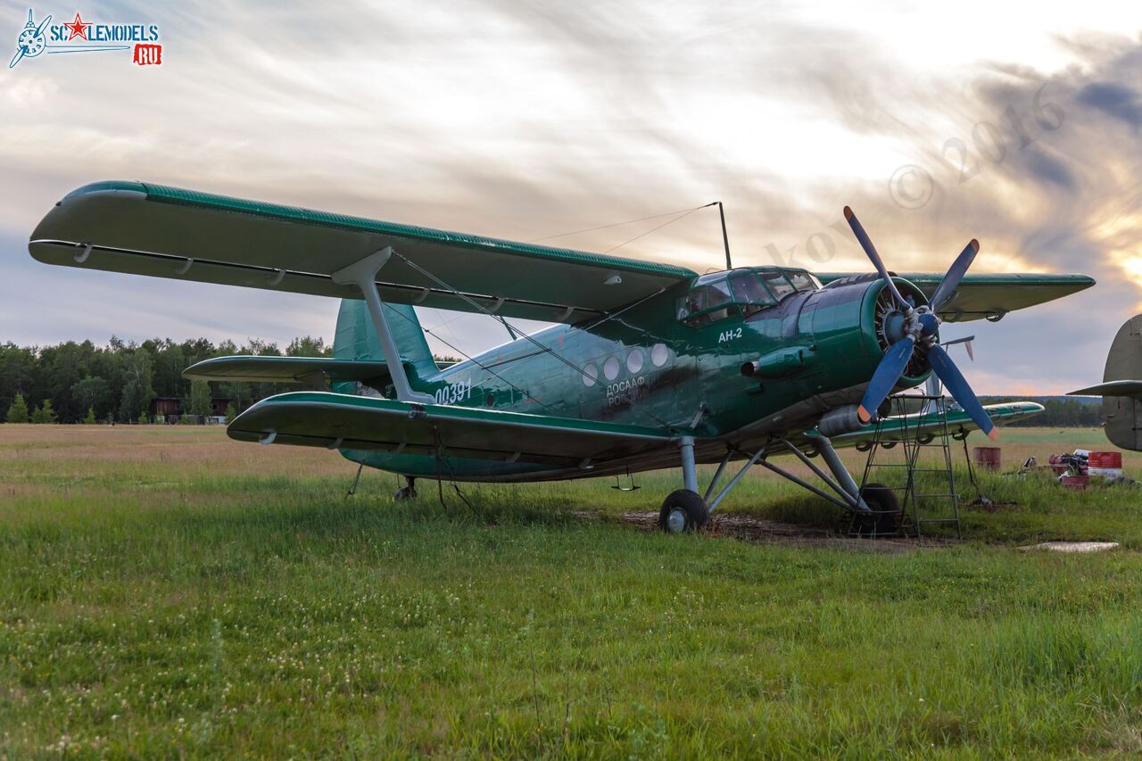 An-2_RA-00391_0.jpg