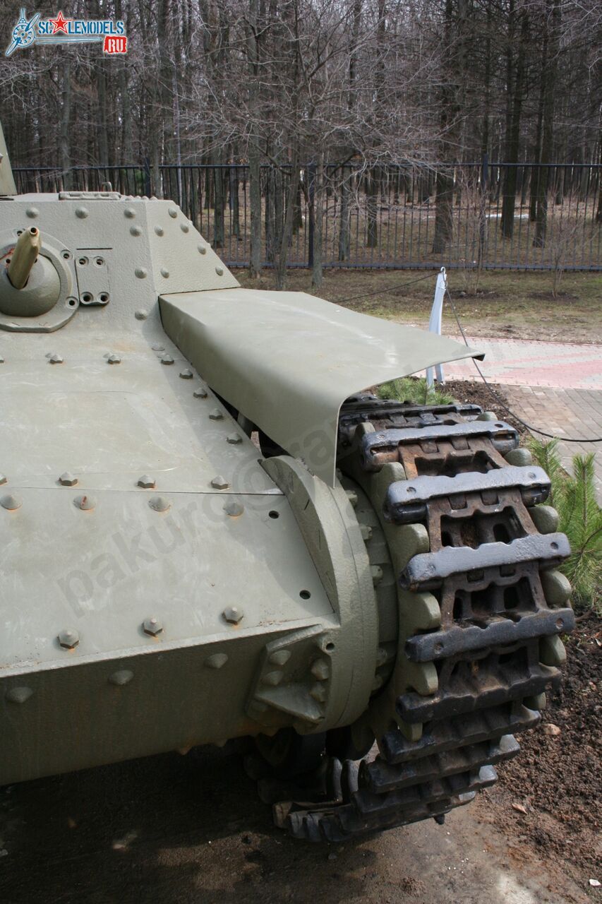 55.jpg