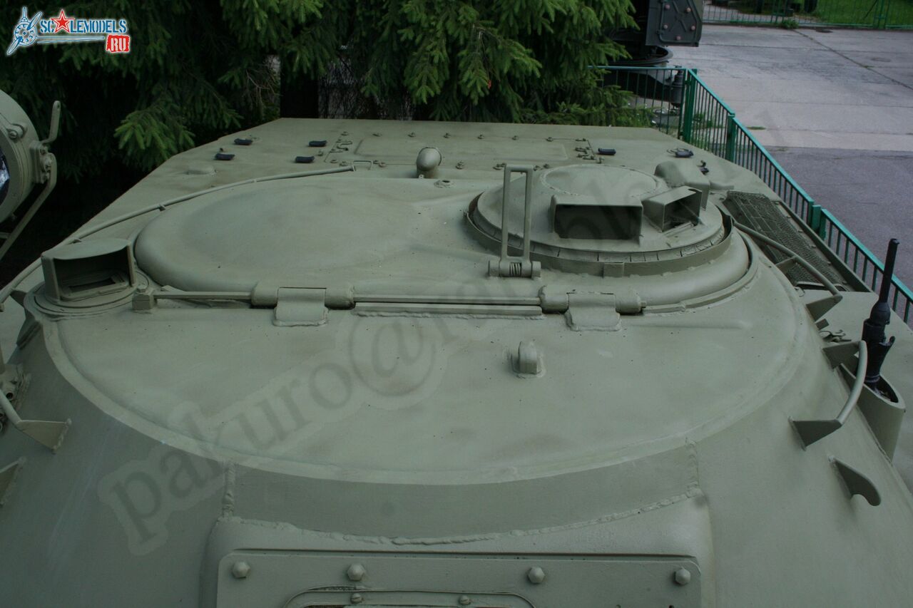 141.jpg