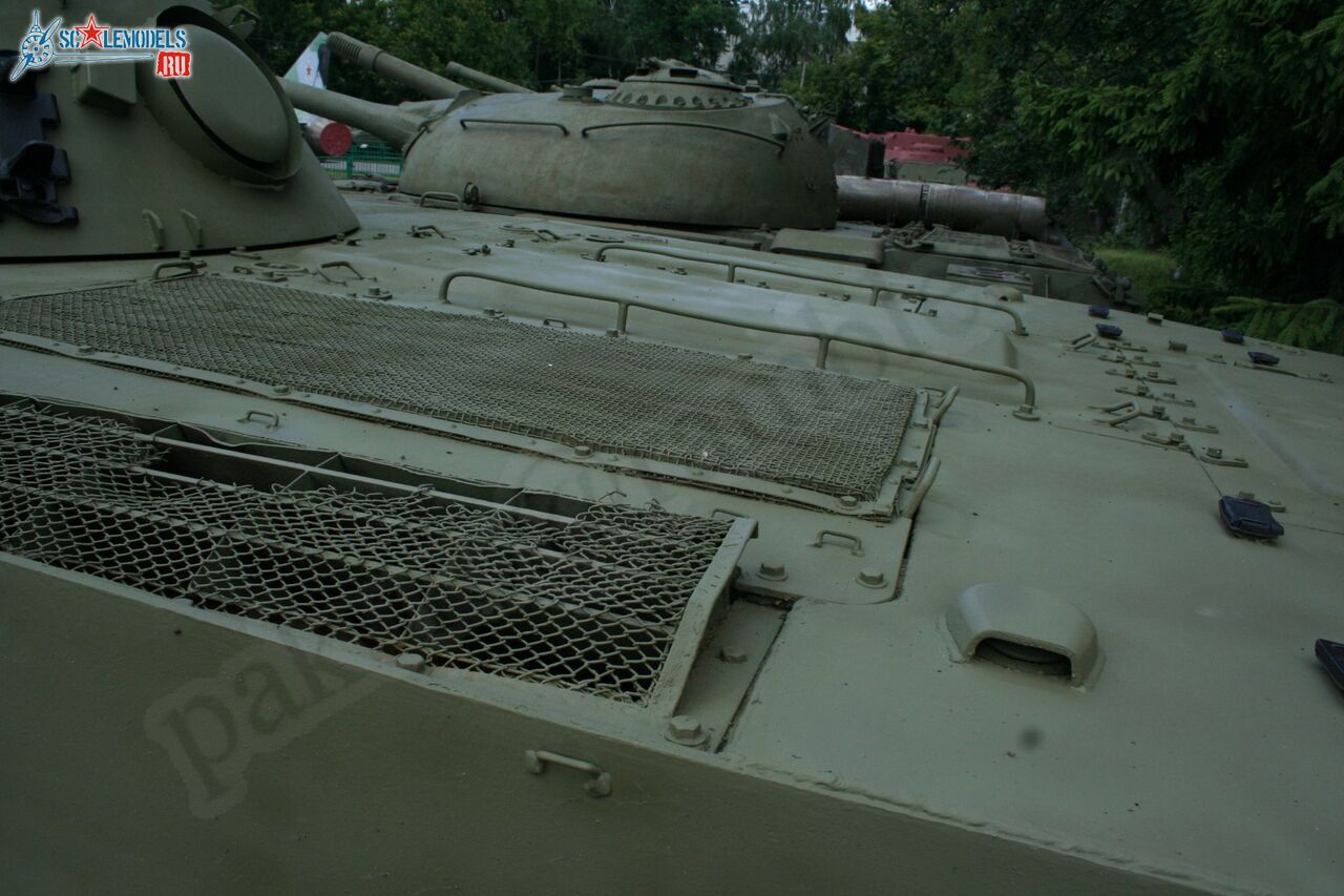 78.jpg