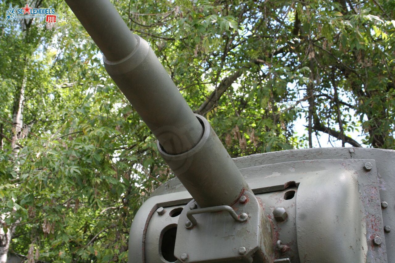 141.jpg