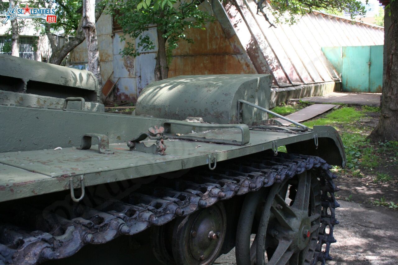 49.jpg