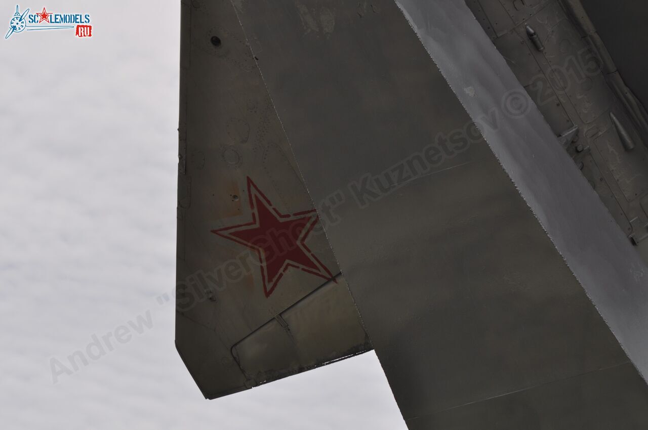 144.jpg