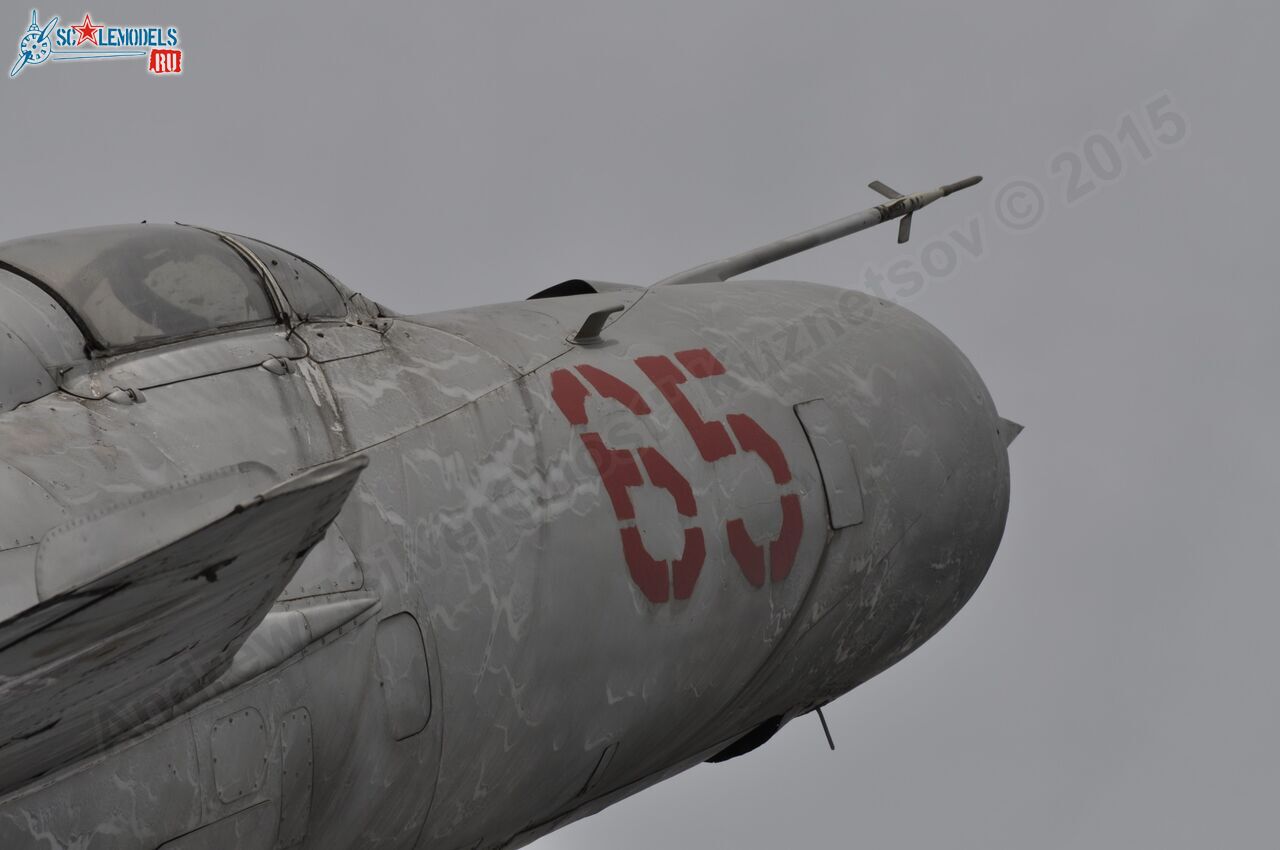 213.jpg