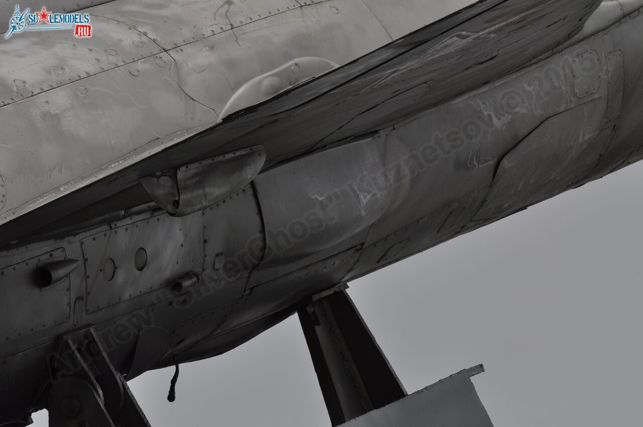 215.jpg