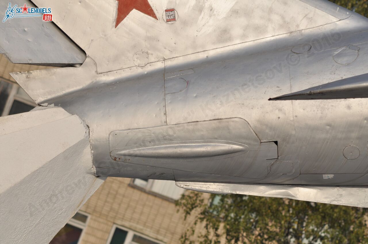 146.jpg
