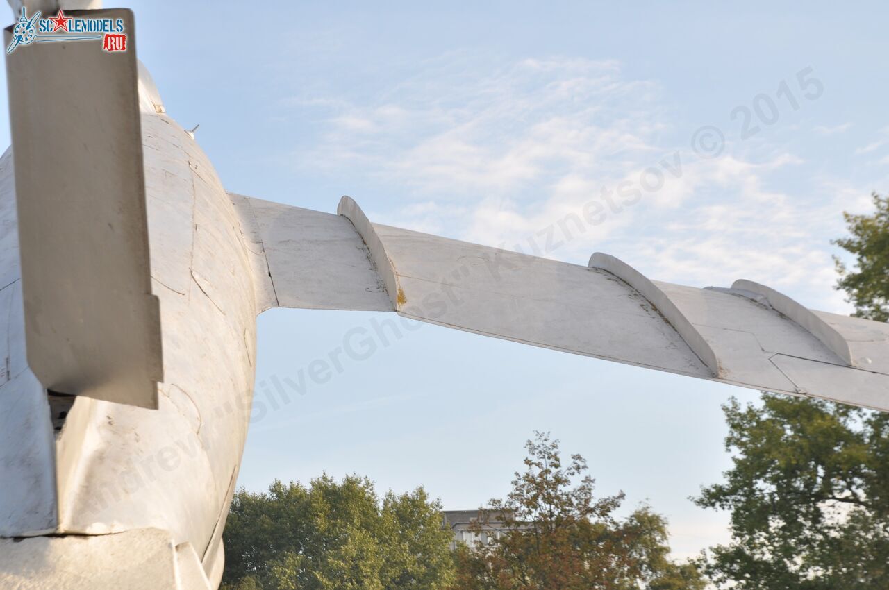 95.jpg