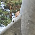 Su-7BM_189.jpg
