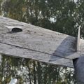 Su-7BM_243.jpg
