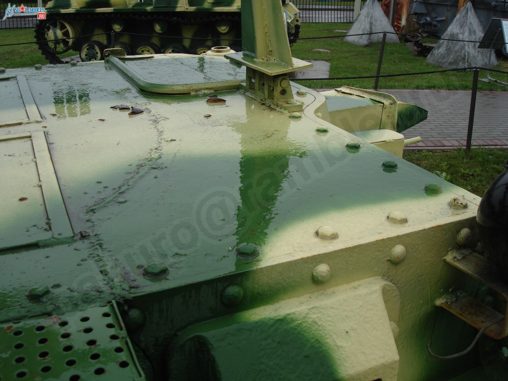 79.jpg