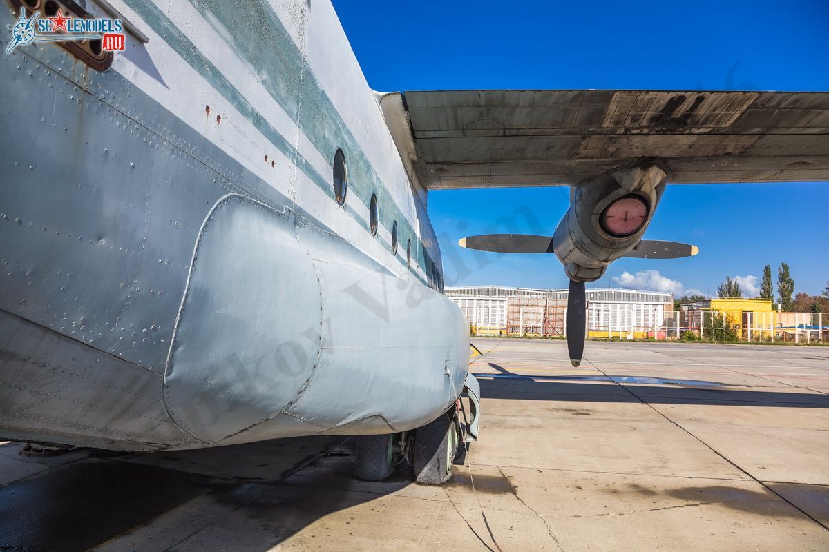 An-8_RA-27204_41.jpg