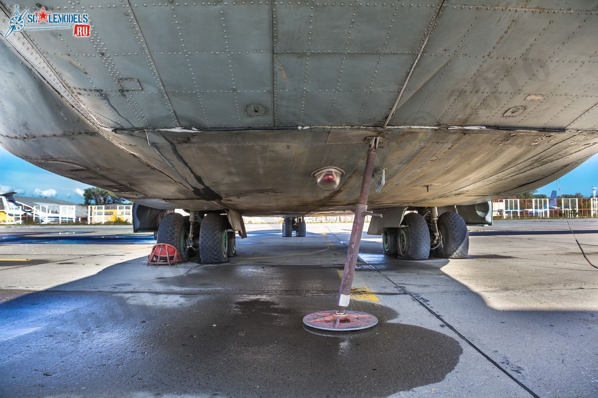 An-8_RA-27204_42.jpg