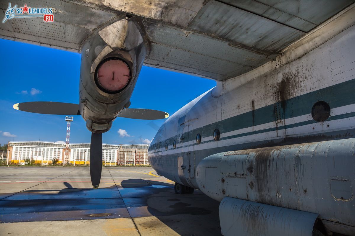 An-8_RA-27204_53.jpg