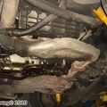 Porche_911_098.jpg