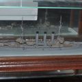 Club-TM_Fleet_700_scale_5.jpg