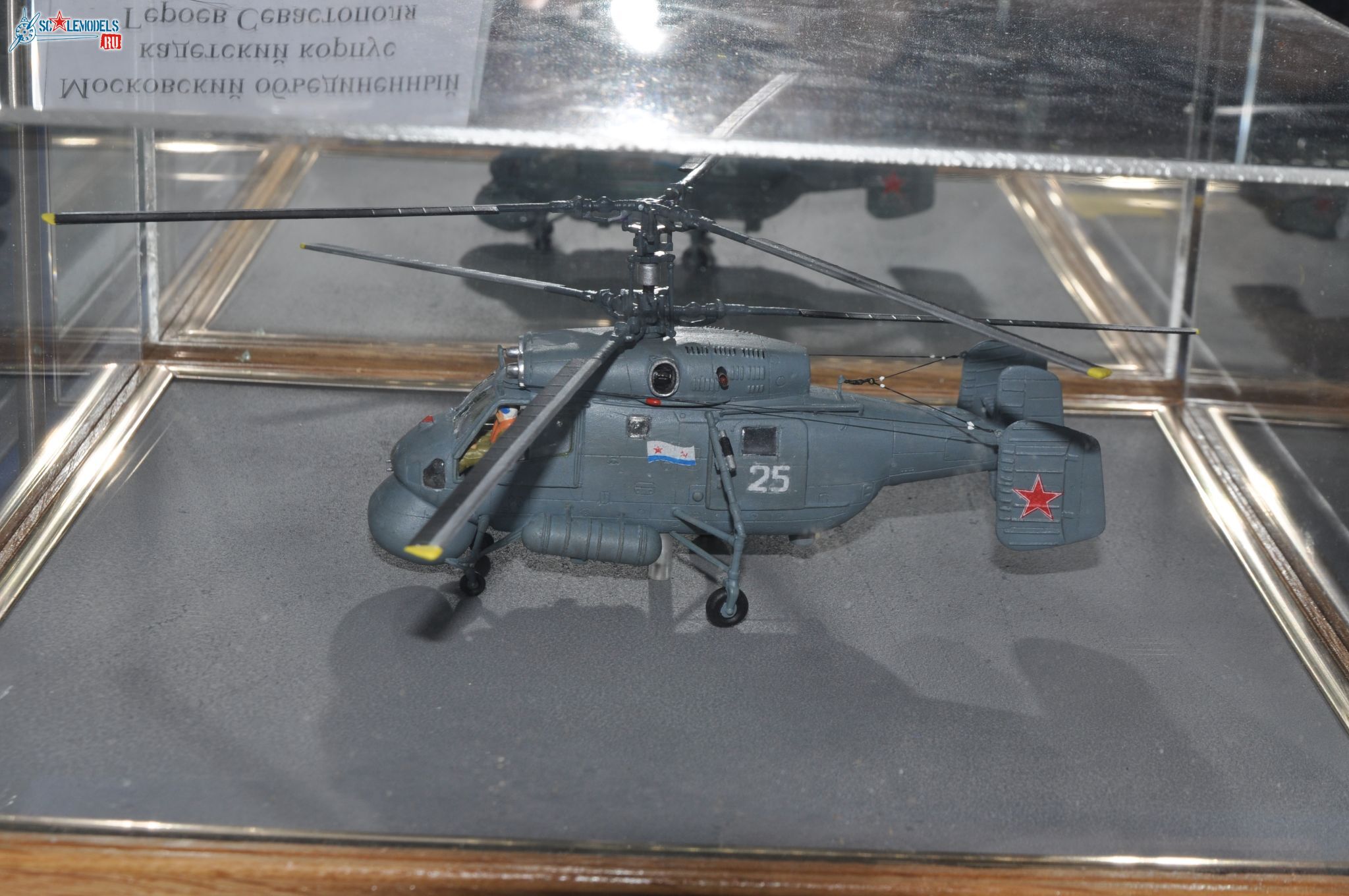 Club-TM_Aviation_Junior_72_scale_29.jpg