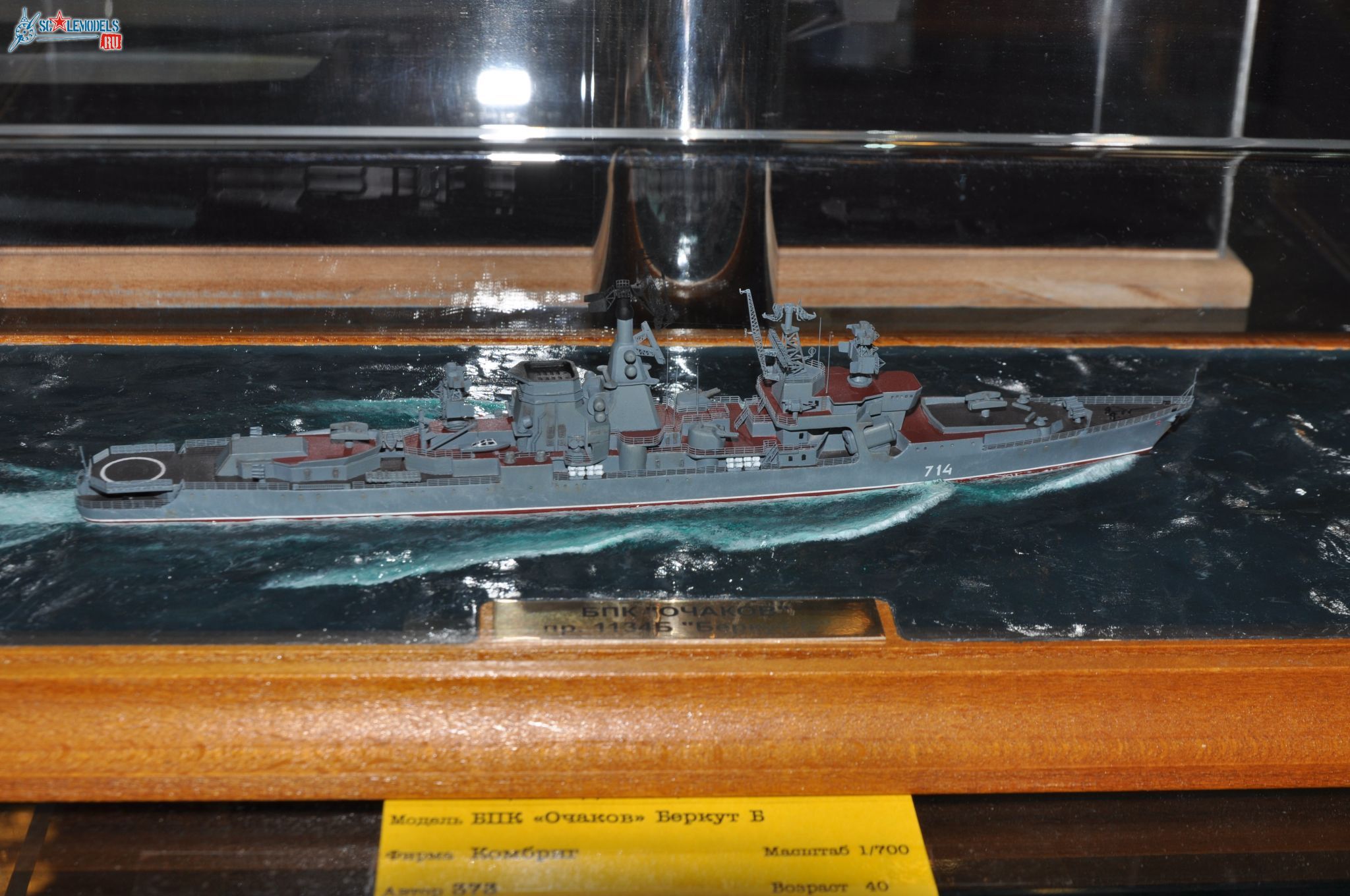 Club-TM_Fleet_700_scale_10.jpg